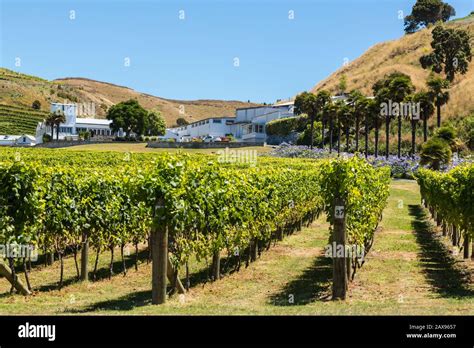 hawkes bay images Browse Getty Images’ premium collection of high-quality, authentic Hawkes Bay Region stock videos and stock footage